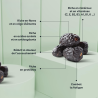 Dattes 'Ajwa de Médine - Boîte de 500g