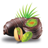 Dattes enrobées au chocolat et fourrées à la pistache (400g)